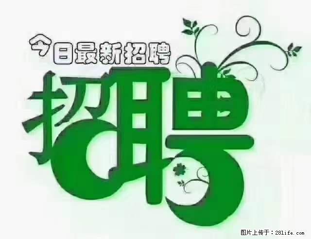 【招聘摄像师】待遇：试用期6000元/月，转正7000元/月+五险一金+餐补+节日福利+奖金 - 其他招聘信息 - 招聘求职 - 商丘分类信息 - 商丘28生活网 sq.28life.net