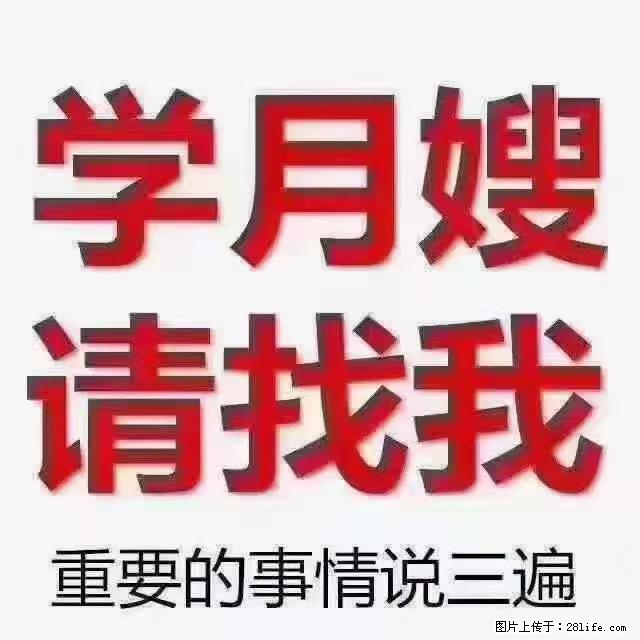 【招聘】月嫂，上海徐汇区 - 职场交流 - 商丘生活社区 - 商丘28生活网 sq.28life.net