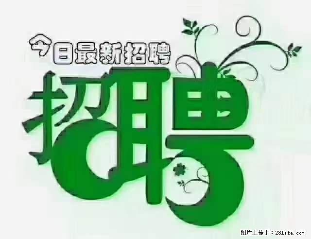 上海隔离酒店招人：55岁以下 男女不限 - 职场交流 - 商丘生活社区 - 商丘28生活网 sq.28life.net
