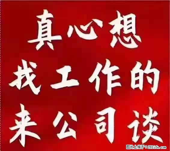 【上海】国企,医院招两名男保安,55岁以下,身高1.7米以上,无犯罪记录不良嗜好 - 职场交流 - 商丘生活社区 - 商丘28生活网 sq.28life.net