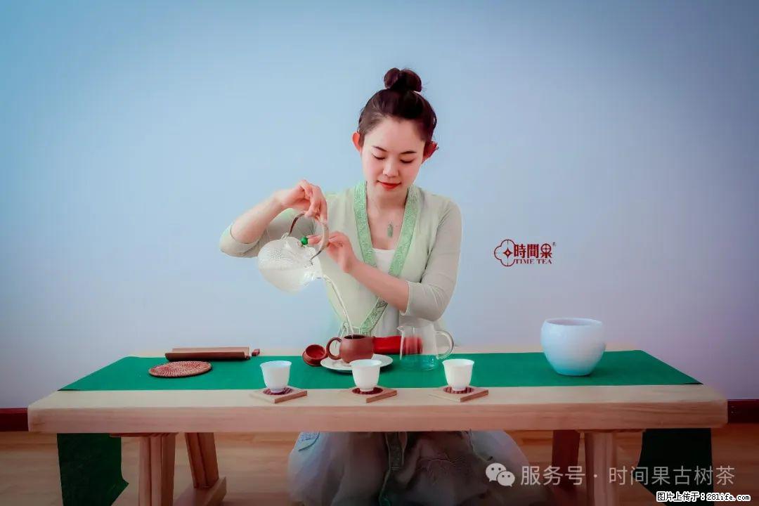 时间果百年古树龙珠普洱生茶 - 购物交流 - 商丘生活社区 - 商丘28生活网 sq.28life.net