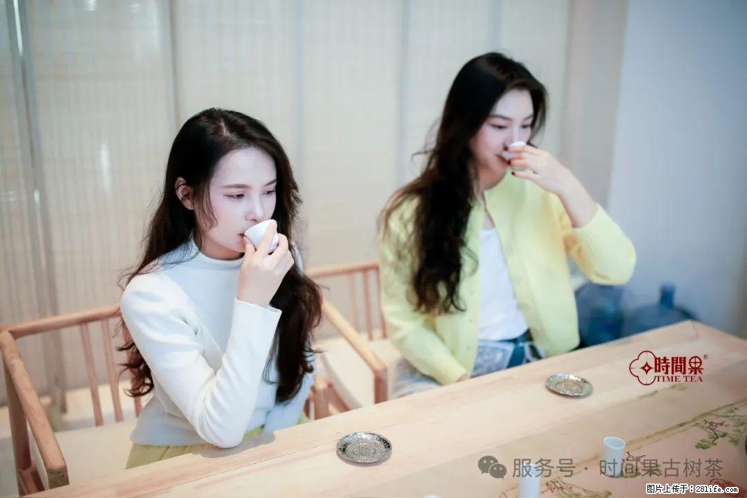 时间果百年古树龙珠普洱生茶 - 购物交流 - 商丘生活社区 - 商丘28生活网 sq.28life.net