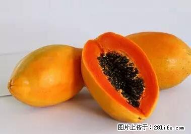 晕车、脚气、牙齿变黄、皮肤粗糙？学会这些三分钟搞定！ - 商丘生活资讯 - 商丘28生活网 sq.28life.net