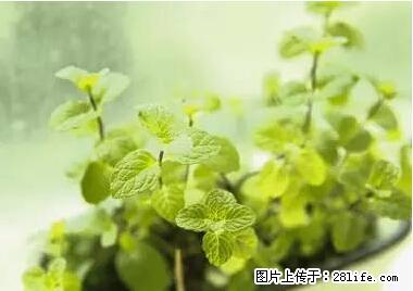 晕车、脚气、牙齿变黄、皮肤粗糙？学会这些三分钟搞定！ - 商丘生活资讯 - 商丘28生活网 sq.28life.net