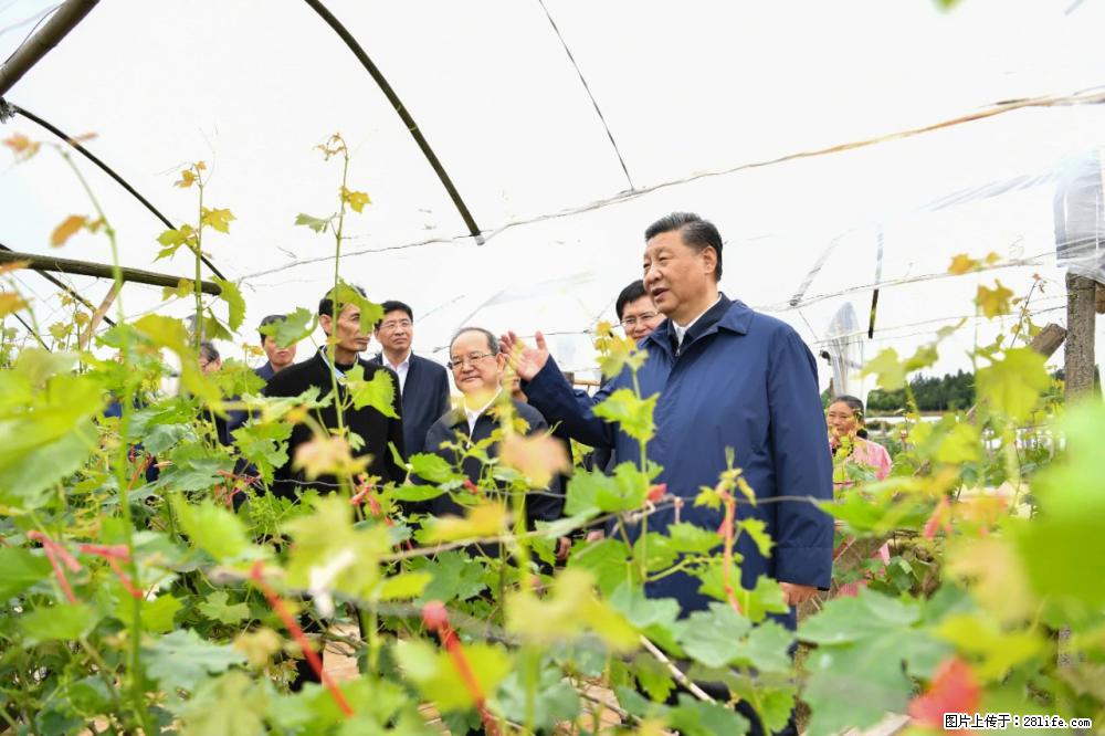 习近平赴广西考察调研 - 商丘生活资讯 - 商丘28生活网 sq.28life.net