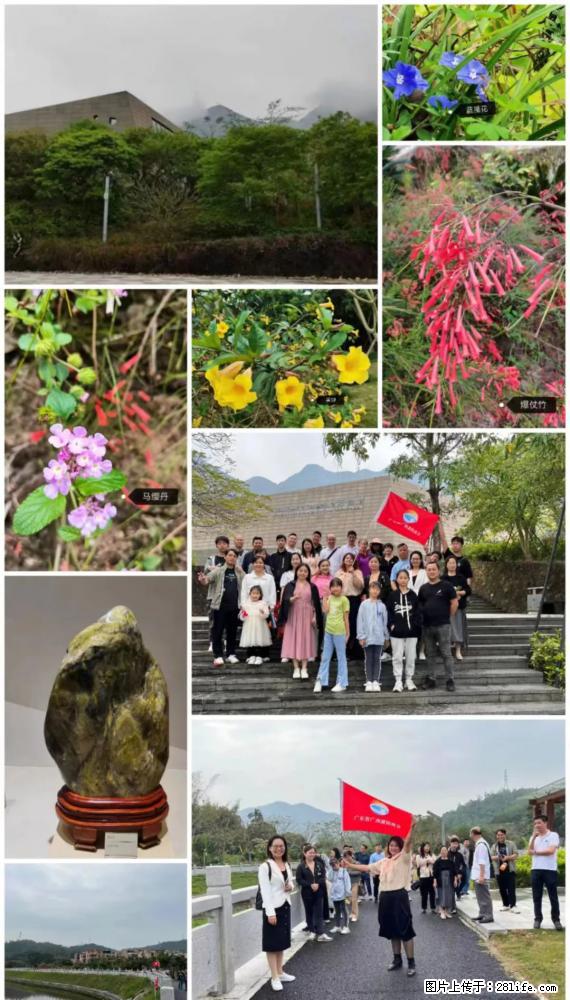 “粤灌文化 美好生活”油茶文化主题活动在广东深圳成功举办 - 商丘生活资讯 - 商丘28生活网 sq.28life.net