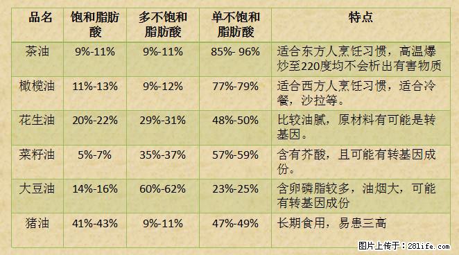 揭秘茶油的5大核心营养成分！被称为人体健康的“守护盾”！ - 商丘生活资讯 - 商丘28生活网 sq.28life.net