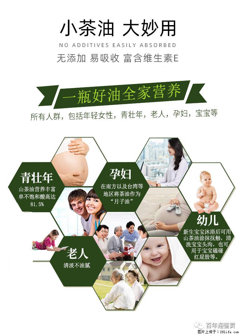 世界没有真相，只有认知，最好的食用油是中国的山茶油！ - 商丘生活资讯 - 商丘28生活网 sq.28life.net