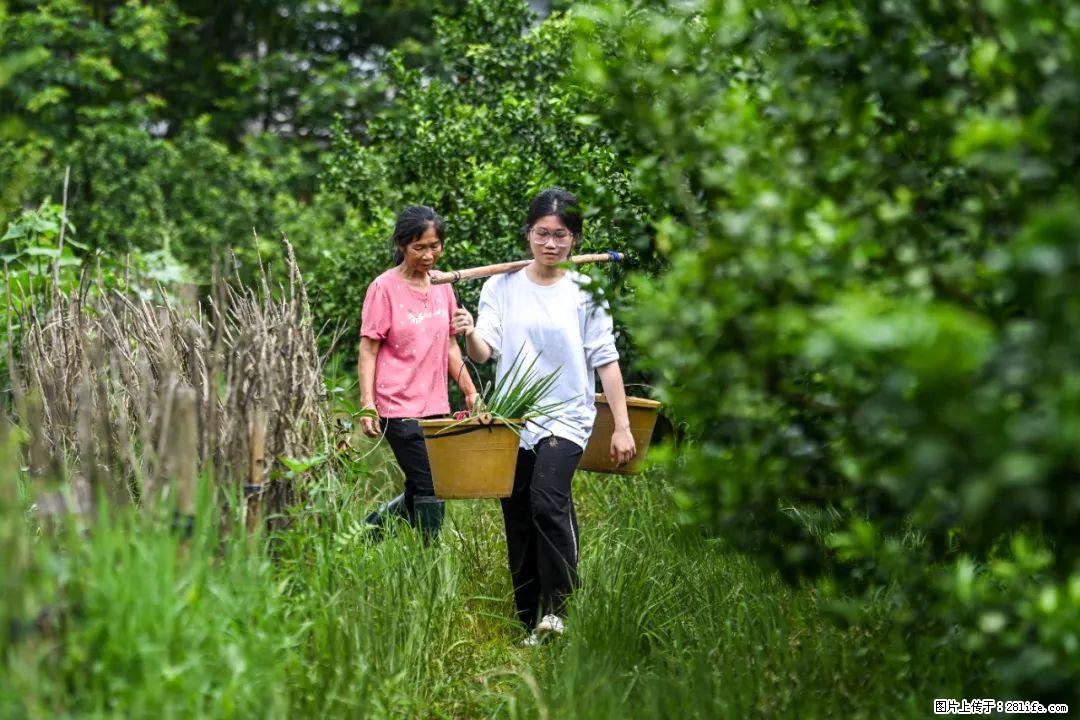 全网追的“扁担女孩”，找了一份暑假工，时薪12元 - 商丘生活资讯 - 商丘28生活网 sq.28life.net