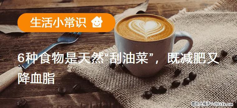 【生活小常识】6种食物是天然“刮油菜”，既减肥又降血脂 - 商丘生活资讯 - 商丘28生活网 sq.28life.net