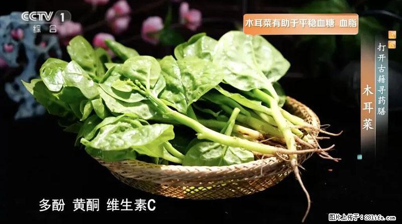 比牛奶补钙还厉害！凉血解毒、稳血糖...这菜冬天必吃，很多人却当草 - 商丘生活资讯 - 商丘28生活网 sq.28life.net