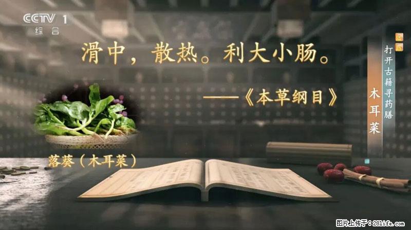 比牛奶补钙还厉害！凉血解毒、稳血糖...这菜冬天必吃，很多人却当草 - 商丘生活资讯 - 商丘28生活网 sq.28life.net