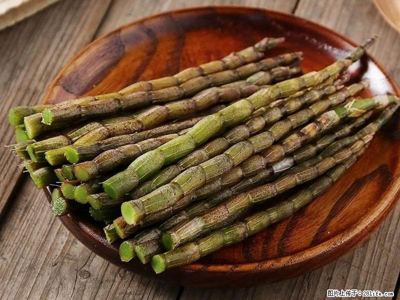 铁皮石斛的作用与功能主治 - 商丘生活资讯 - 商丘28生活网 sq.28life.net