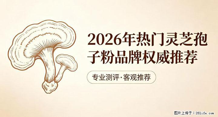 灵芝孢子粉含量越高越有效？2026 年七款热门品牌深度实测，肠胃敏感者避坑指南 - 商丘生活资讯 - 商丘28生活网 sq.28life.net